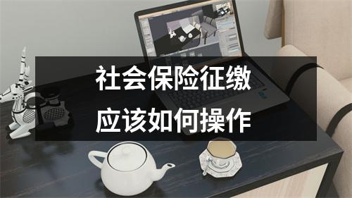 社会保险征缴 应该如何操作 