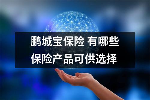 鹏城宝保险 有哪些保险产品可供选择