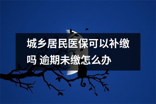 城乡居民医保可以补缴吗 逾期未缴怎么办