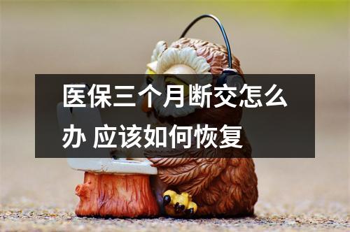 医保三个月断交怎么办 应该如何恢复