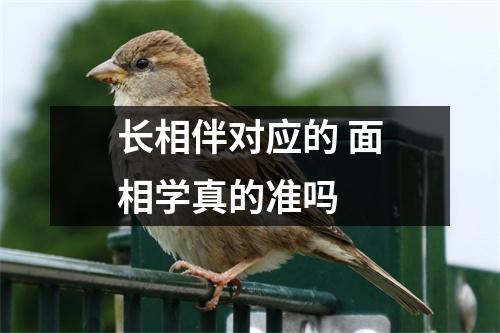 长相伴对应的 面相学真的准吗