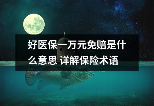 好医保一万元免赔是什么意思 详解保险术语