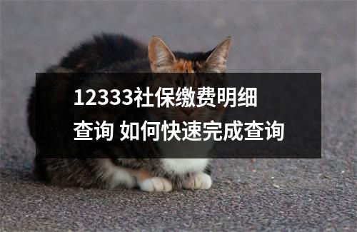 12333社保缴费明细查询 如何快速完成查询