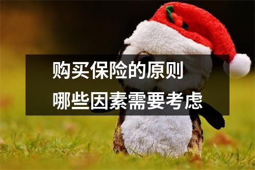 购买保险的原则 哪些因素需要考虑