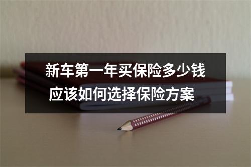 新车第一年买保险多少钱 应该如何选择保险方案