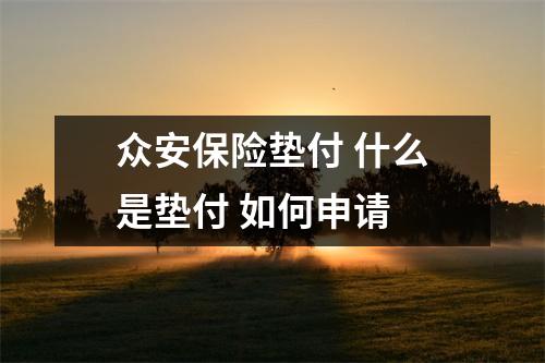 众安保险垫付 什么是垫付 如何申请