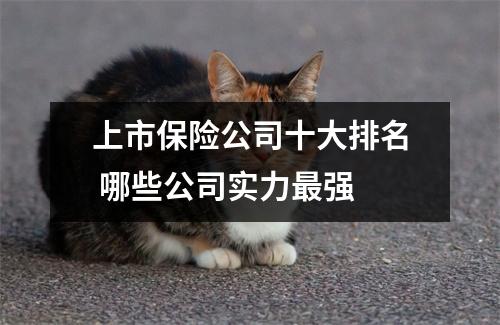 上市保险公司十大排名 哪些公司实力最强 