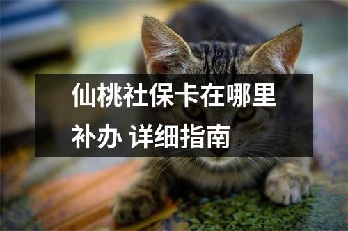 仙桃社保卡在哪里补办 详细指南