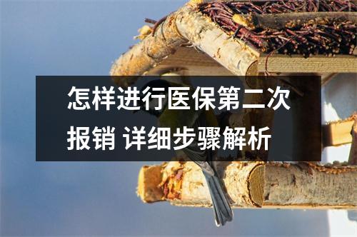 怎样进行医保第二次报销 详细步骤解析