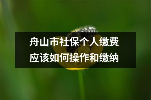 舟山市社保个人缴费 应该如何操作和缴纳