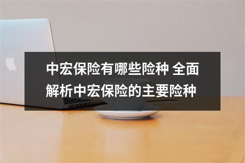 中宏保险有哪些险种 全面解析中宏保险的主要险种