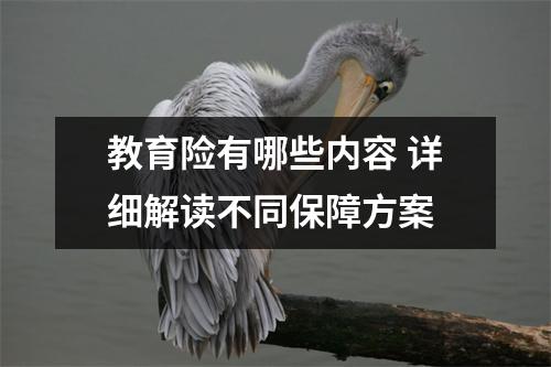 教育险有哪些内容 详细解读不同保障方案