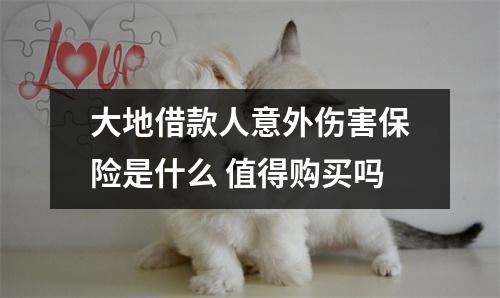 大地借款人意外伤害保险是什么 值得购买吗