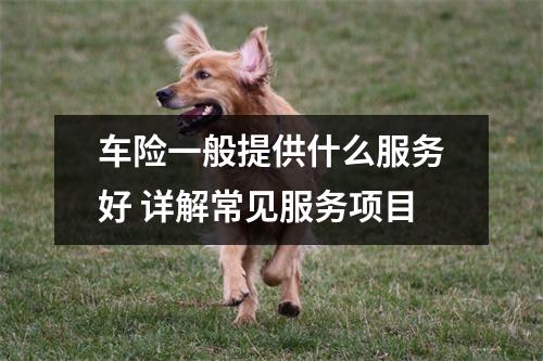 车险一般提供什么服务好 详解常见服务项目