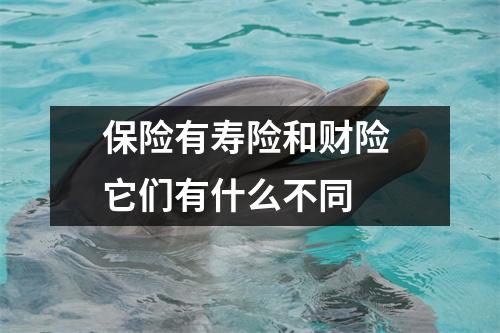 保险有寿险和财险 它们有什么不同 