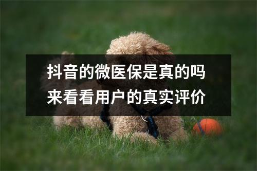 抖音的微医保是真的吗 来看看用户的真实评价