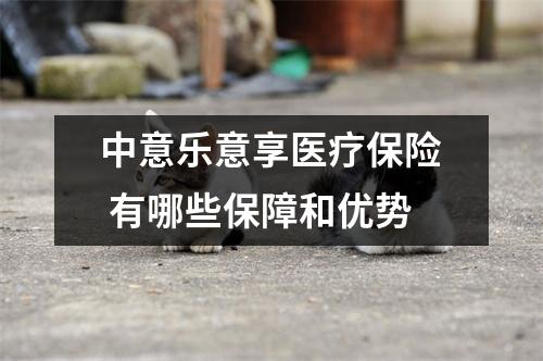 中意乐意享医疗保险 有哪些保障和优势