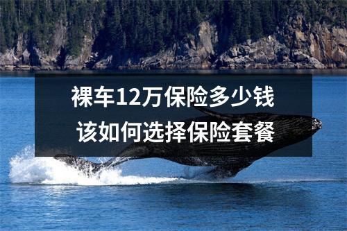 裸车12万保险多少钱 该如何选择保险套餐
