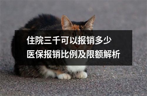 住院三千可以报销多少 医保报销比例及限额解析