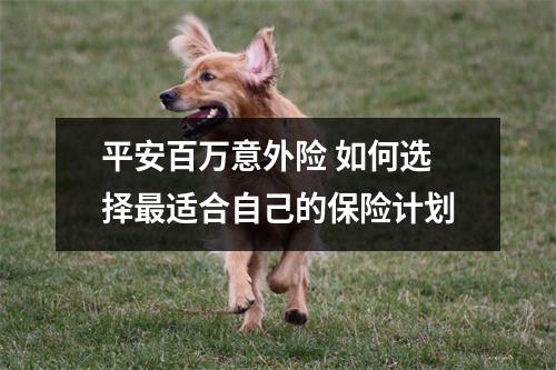 平安百万意外险 如何选择最适合自己的保险计划