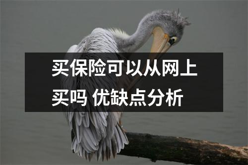 买保险可以从网上买吗 优缺点分析
