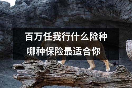 百万任我行什么险种 哪种保险最适合你