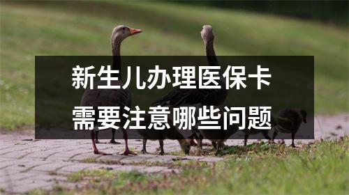 新生儿办理医保卡 需要注意哪些问题