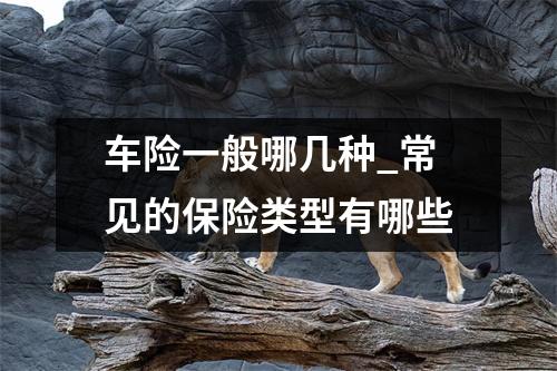 车险一般哪几种_常见的保险类型有哪些