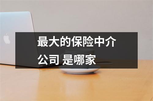 最大的保险中介公司 是哪家 
