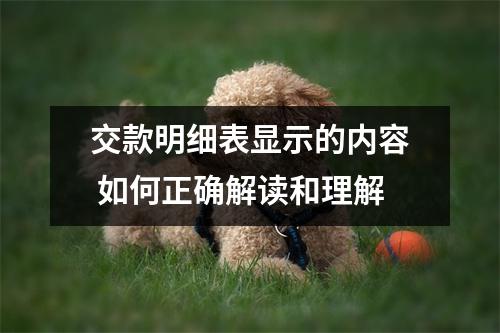 交款明细表显示的内容 如何正确解读和理解