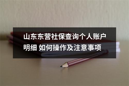 山东东营社保查询个人账户明细 如何操作及注意事项
