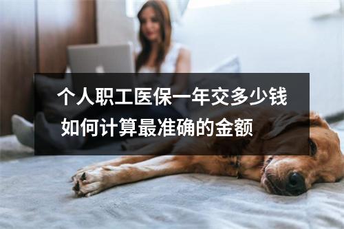 个人职工医保一年交多少钱 如何计算最准确的金额