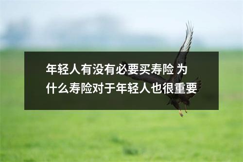 年轻人有没有必要买寿险 为什么寿险对于年轻人也很重要