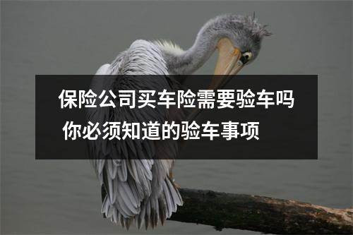 保险公司买车险需要验车吗 你必须知道的验车事项