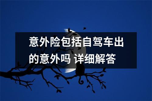 意外险包括自驾车出的意外吗 详细解答