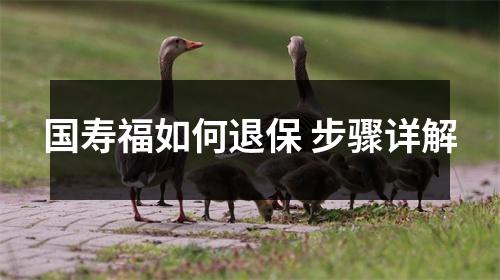 国寿福如何退保 步骤详解