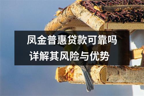 凤金普惠贷款可靠吗 详解其风险与优势