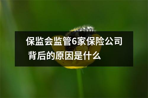 保监会监管6家保险公司 背后的原因是什么 