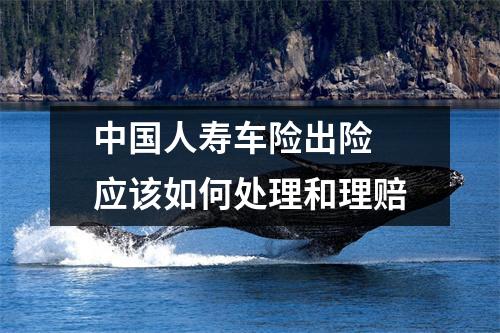 中国人寿车险出险 应该如何处理和理赔