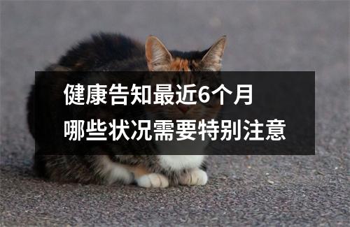 健康告知最近6个月 哪些状况需要特别注意