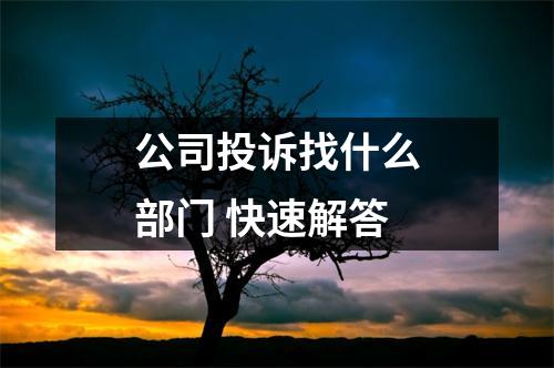 公司投诉找什么部门 快速解答