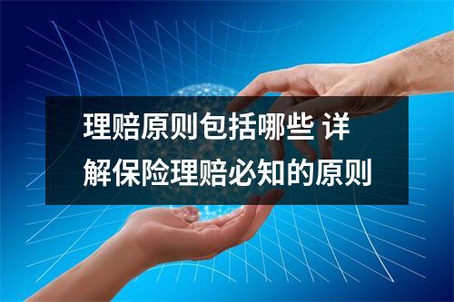 理赔原则包括哪些 详解保险理赔必知的原则