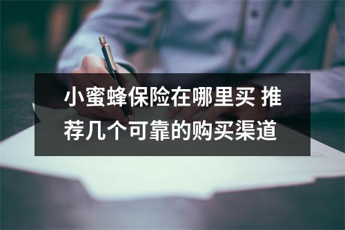 小蜜蜂保险在哪里买 推荐几个可靠的购买渠道