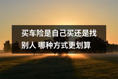 买车险是自己买还是找别人 哪种方式更划算