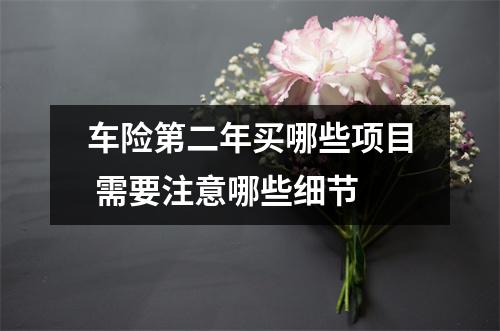 车险第二年买哪些项目 需要注意哪些细节