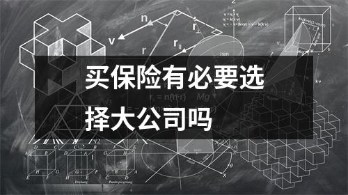 买保险有必要选择大公司吗