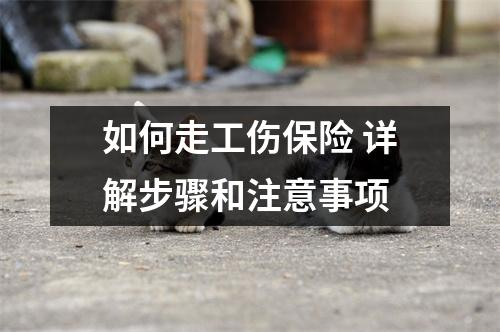 如何走工伤保险 详解步骤和注意事项