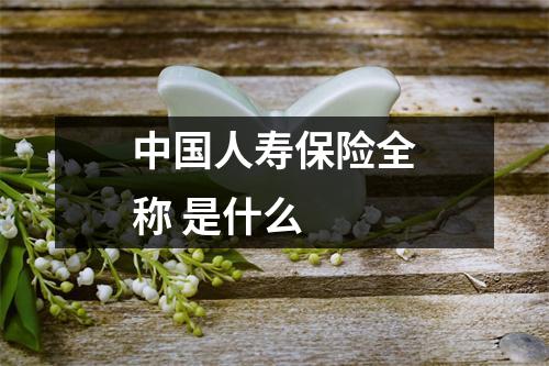 中国人寿保险全称 是什么 
