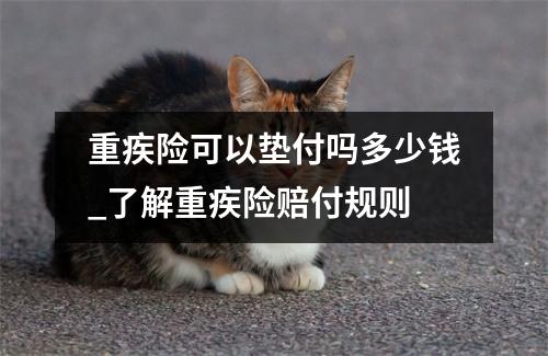 重疾险可以垫付吗多少钱_了解重疾险赔付规则