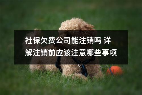 社保欠费公司能注销吗 详解注销前应该注意哪些事项